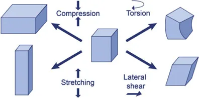 Fig 3. Los cuatro tipos de fuerza externa que soporta un relleno implantado